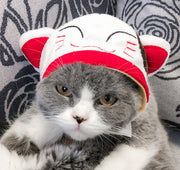 Pet hat cute pet dog exposed ears anti shedding adjustable basin hat small dog