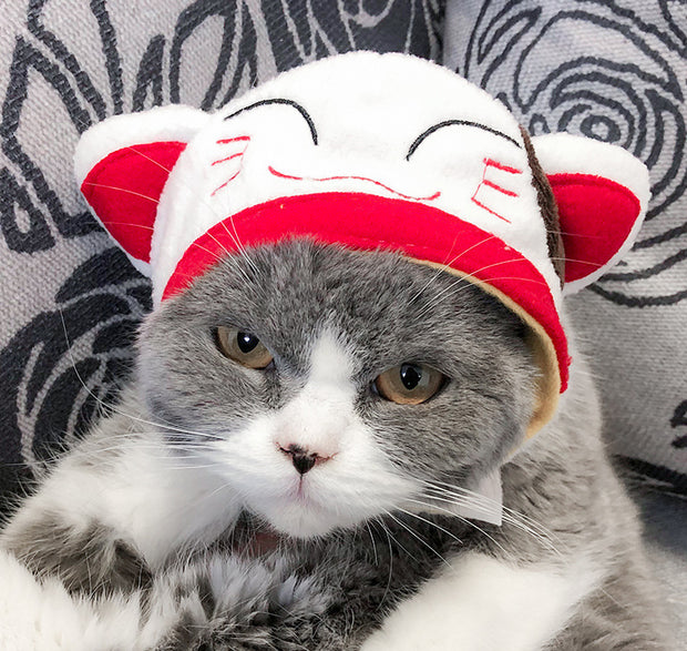 Pet hat cute pet dog exposed ears anti shedding adjustable basin hat small dog