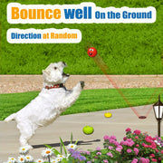 6-Piece Pet Toy Set: Dog Latex Squeaky Toy + Soft Rubber Funny Face Chew Ball + Training Interactive Toy