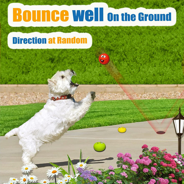 6-Piece Pet Toy Set: Dog Latex Squeaky Toy + Soft Rubber Funny Face Chew Ball + Training Interactive Toy