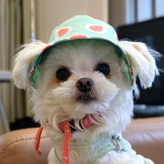Pet hat cute pet dog exposed ears anti shedding adjustable basin hat small dog