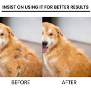 Pet Hair Growth Spray for Cats and Dogs - Hair Care Treatment for Damaged Follicles and Hair Loss