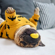 6-Piece Pet Toy Set: Dog Latex Squeaky Toy + Soft Rubber Funny Face Chew Ball + Training Interactive Toy