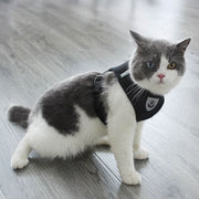 Adjustable pet harness set (small dogs/cats): vest, collar, leash. Fits French Bulldogs, Chihuahuas, etc.