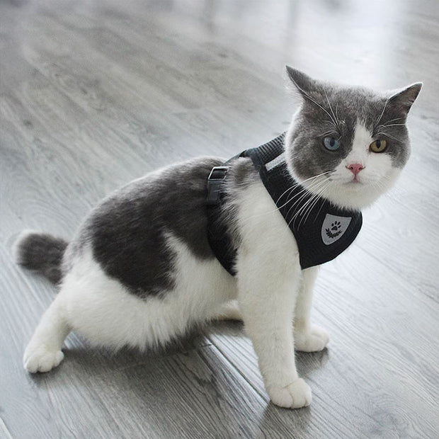 Adjustable pet harness set (small dogs/cats): vest, collar, leash. Fits French Bulldogs, Chihuahuas, etc.