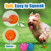 6-Piece Pet Toy Set: Dog Latex Squeaky Toy + Soft Rubber Funny Face Chew Ball + Training Interactive Toy
