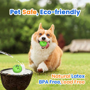 6-Piece Pet Toy Set: Dog Latex Squeaky Toy + Soft Rubber Funny Face Chew Ball + Training Interactive Toy