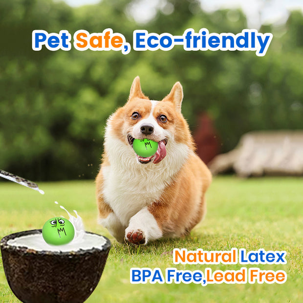 6-Piece Pet Toy Set: Dog Latex Squeaky Toy + Soft Rubber Funny Face Chew Ball + Training Interactive Toy