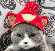 Pet hat cute pet dog exposed ears anti shedding adjustable basin hat small dog