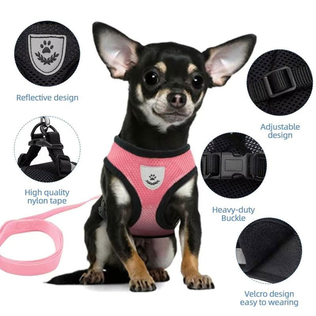 Adjustable pet harness set (small dogs/cats): vest, collar, leash. Fits French Bulldogs, Chihuahuas, etc.