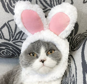 Pet hat cute pet dog exposed ears anti shedding adjustable basin hat small dog