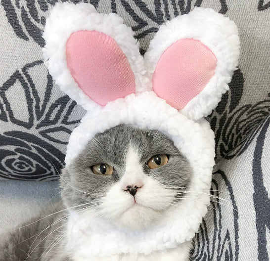 Pet hat cute pet dog exposed ears anti shedding adjustable basin hat small dog